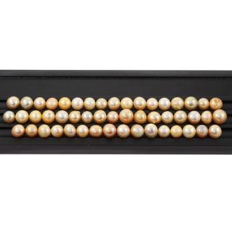 50 Loose Golden South Sea Pearl 170.1g